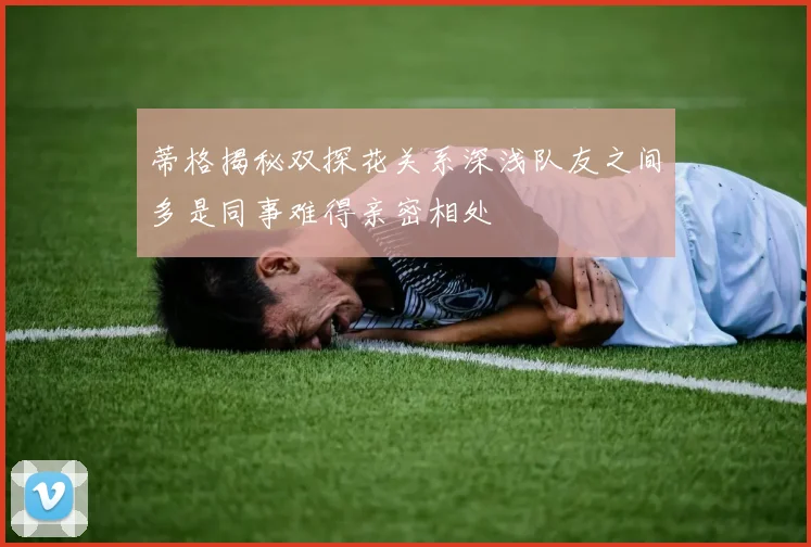 蒂格揭秘双探花关系深浅队友之间多是同事难得亲密相处