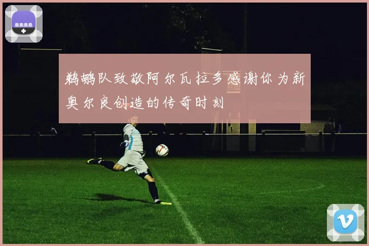 鹈鹕队致敬阿尔瓦拉多感谢你为新奥尔良创造的传奇时刻
